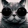 thewh1teagle's avatar